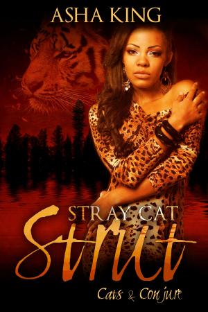 Book cover of Stray Cat Strut