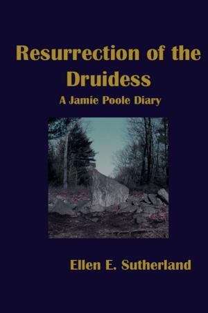 Cover of the book Resurrection of the Druidess by John J Kelley
