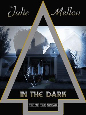 Cover of the book In the Dark by Edith Kneifl