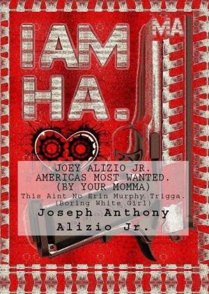 Cover of the book Joey Alizio Jr. Well Liked. by Joseph Anthony Alizio Jr., Edward Joseph Ellis, Vincent Joseph Allen