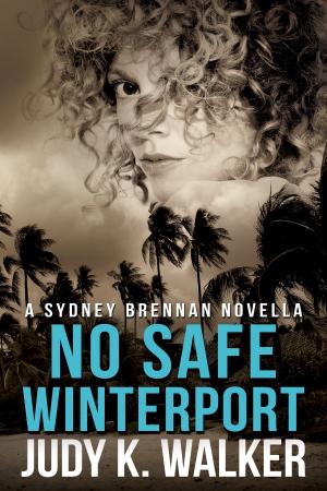 Cover of the book No Safe Winterport by Amy Rogers