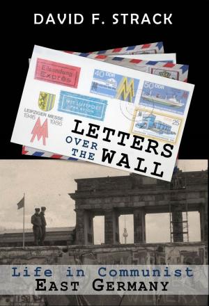 Cover of the book Letters Over The Wall by Lawrence E. Joseph