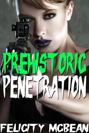 Cover of the book Prehistoric Penetration by Fiona Coulby