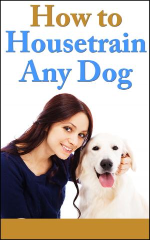 Cover of the book How to House Train any Dog by Stéphanie Brière