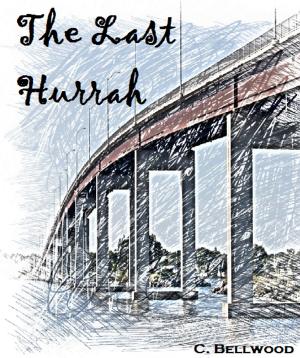 Cover of the book The Last Hurrah by 4 Eyes