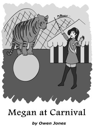 Book cover of Megan At Carnival