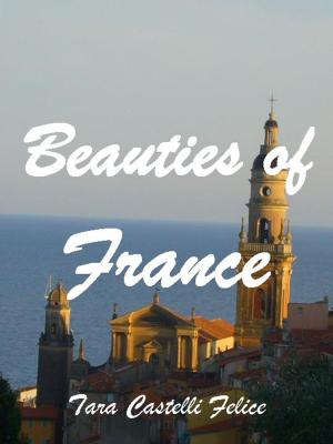 Book cover of A walk through France
