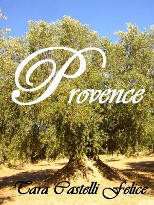 Cover of the book A walk through Provence by Tara Castelli Felice