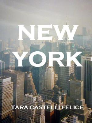 Book cover of A walk through New York