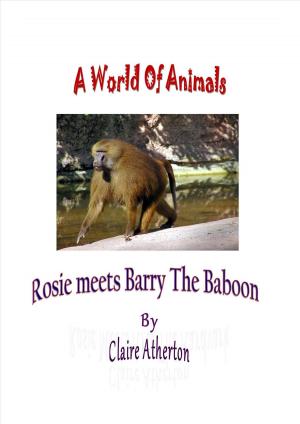 Book cover of Rosie Meets Barry The Baboon