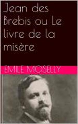 Cover of the book Jean des Brebis ou Le livre de la misère by Emile Zola