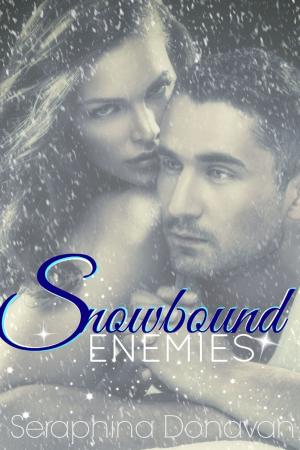 Cover of the book Snowbound Enemies by Lydia J. Farnham