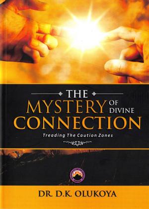 Book cover of The Mystery of Divine Connection: Treading the Caution Zone