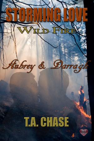 Cover of the book Aubrey & Darragh by Richard Stevenson
