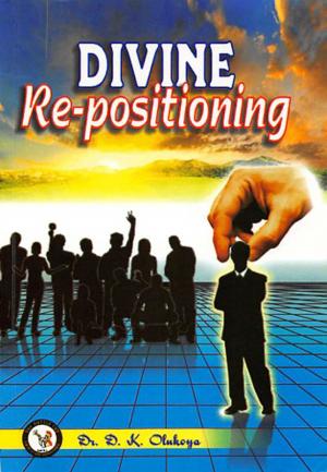 Cover of the book Divine Re-positioning by Dr. D. K. Olukoya