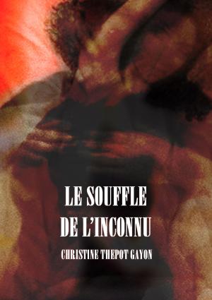 Book cover of Le souffle de l'inconnu