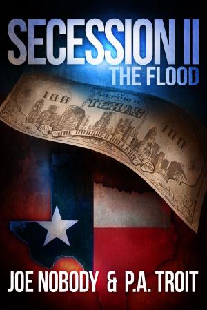 Cover of the book Secession II: The Flood by Joe Nobody