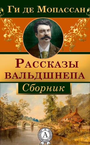 Cover of the book Рассказы вальдшнепа by Редьярд Киплинг