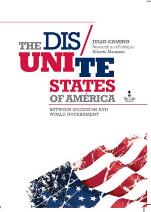 bigCover of the book The Dis Unite States of America by 