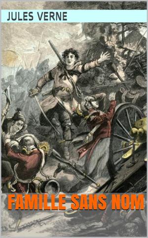 Cover of the book Famille sans nom by Xavier de Montépin