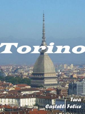 Cover of Una passeggiata a Torino