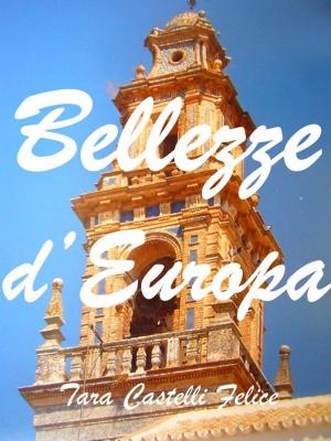 Cover of the book Una passeggiata in Europa by Tara Castelli Felice