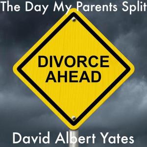 Cover of the book The Day My Parents Split by Laura Pauling