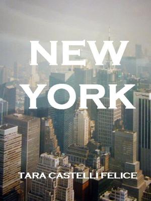 Cover of Una passeggiata a New York