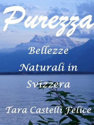Cover of Una passeggiata in Svizzera