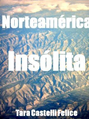 Cover of Norteamérica de otro modo