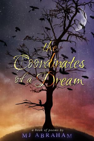 Book cover of The Coordinates of a Dream