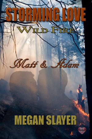 Cover of the book Matt & Adam by Jim LaMarche