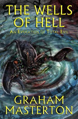 Cover of the book The Wells of Hell by Juliette Benzoni