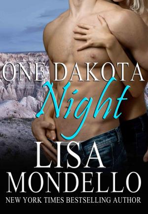 Cover of the book One Dakota Night by Lisa Mondello, L A Mondello