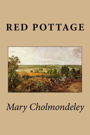 Cover of Red Pottage