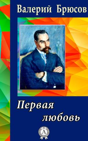 Cover of the book Первая любовь by А. В. Дружинин