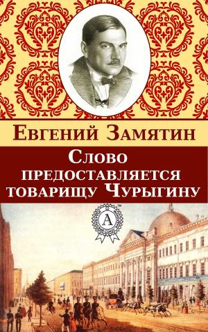 Cover of the book Слово предоставляется товарищу Чурыгину by Zlatko Paković, Mascha Dabić