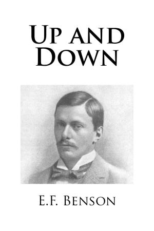 Cover of the book Up and Down by Stephen Hudson