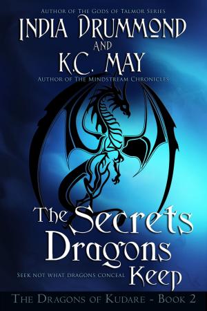 bigCover of the book The Secrets Dragons Keep by 