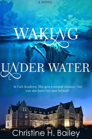 Cover of the book Waking Under Water by Amanda Balfour