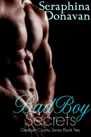 Cover of the book Bad Boy Secrets by Aimelie Aames