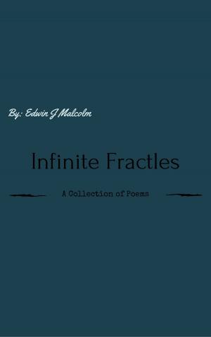 Cover of the book Infinite Fractals by Michele Casati