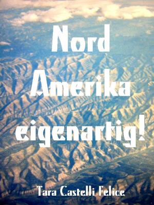 Cover of the book NORDAMERIKA ANDERS by Tara Castelli Felice