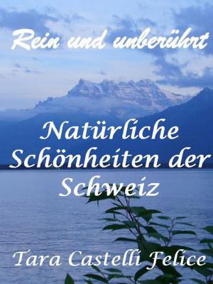 Cover of Ein Spaziergang in der Schweiz