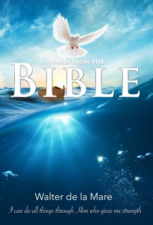 Book cover of Stories from the Bible