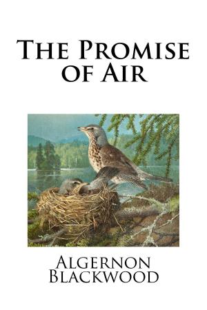 Cover of the book The Promise of Air by Rhoda Broughton