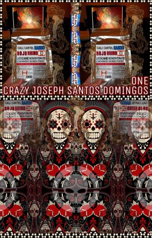Cover of the book Crazy Joseph Santos Domingos. Part 1. by Amber Lea Starfire