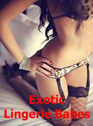 Book cover of Exotic Lingerie Babes