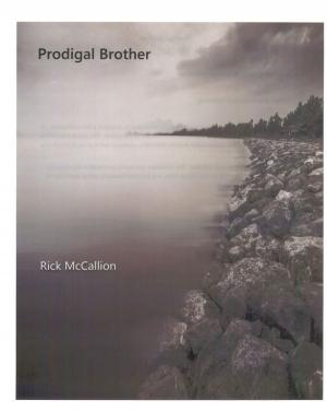 Cover of the book Prodigal Brother by Robyn Donald