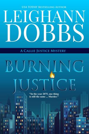 Book cover of Burning Justice